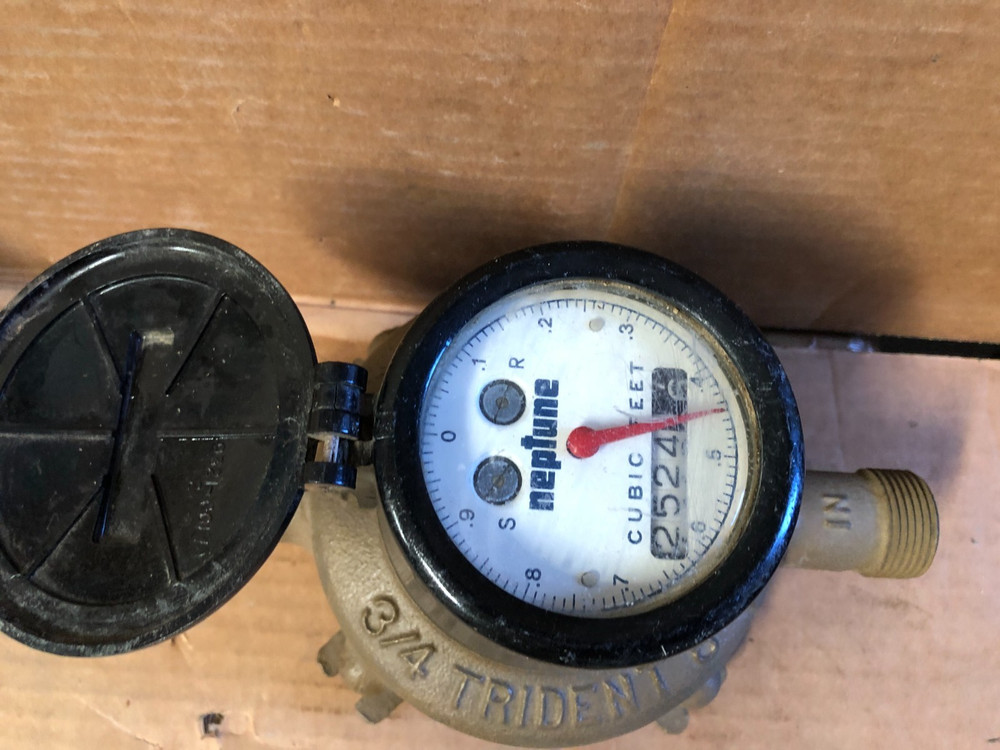 Neptune Trident 8 Water Meter 3/4" Brass