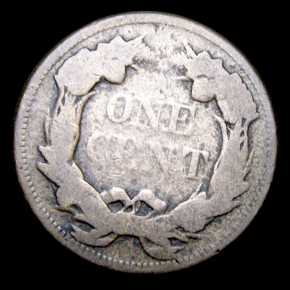 1858 Flying Eagle Cent Penny ---- Nice Details Coin ---- #025L
