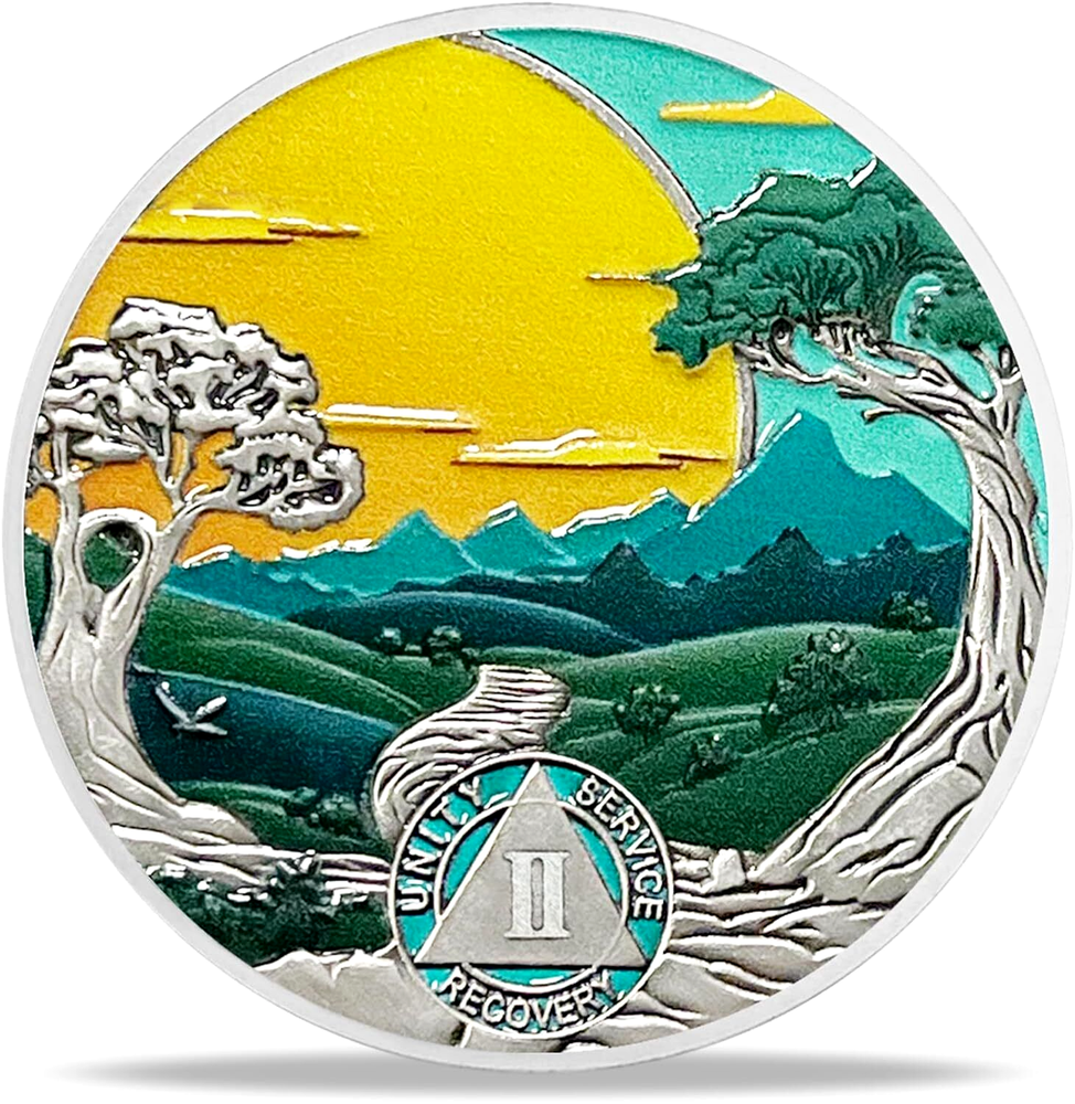 2 Years Sober AA Two Year Sobriety Coin AA Chips Alcoholics Anonymous Medallion