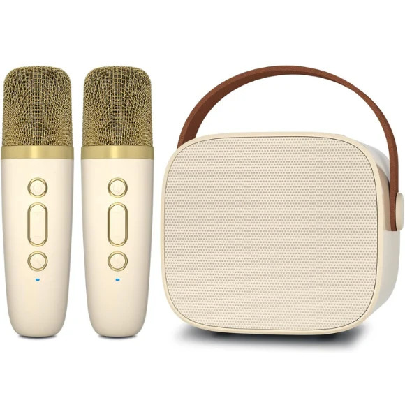 Mini Karaoke Machine with 2 Wireless Microphone, Bluetooth Speaker