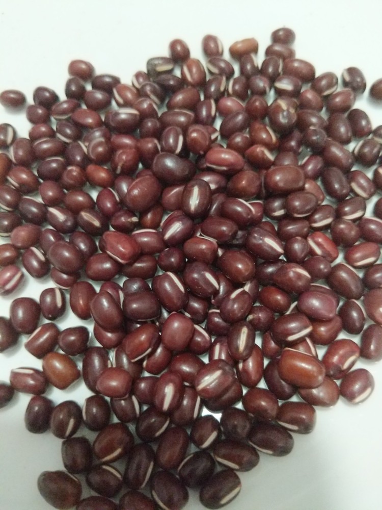 Chinese red beans 3 lbs 红豆