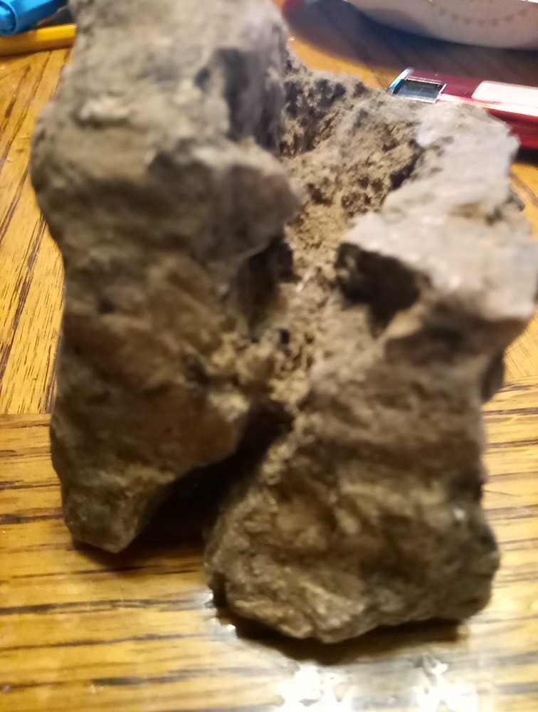 Fossils