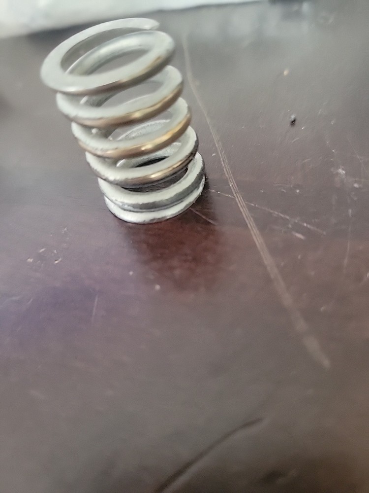 Bigsby Nickel Spring