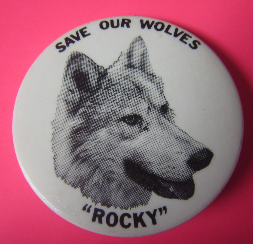 Save our Wolves "Rocky" WOLF pinback/button  Free Shipping