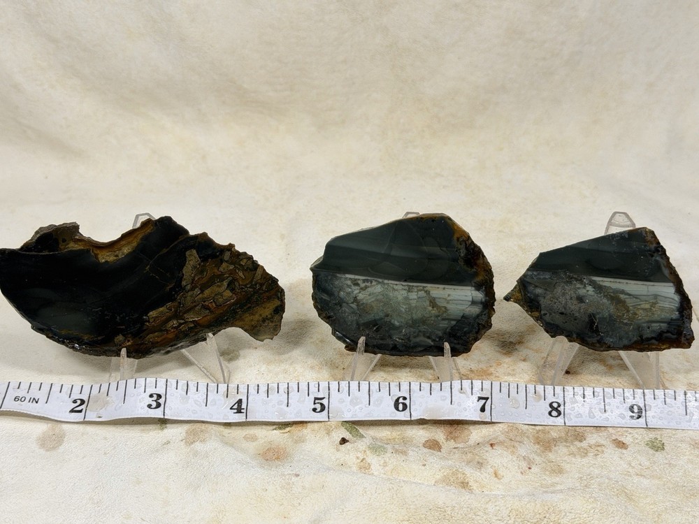 Blue Mountain Jasper Slab Set, Lot #341