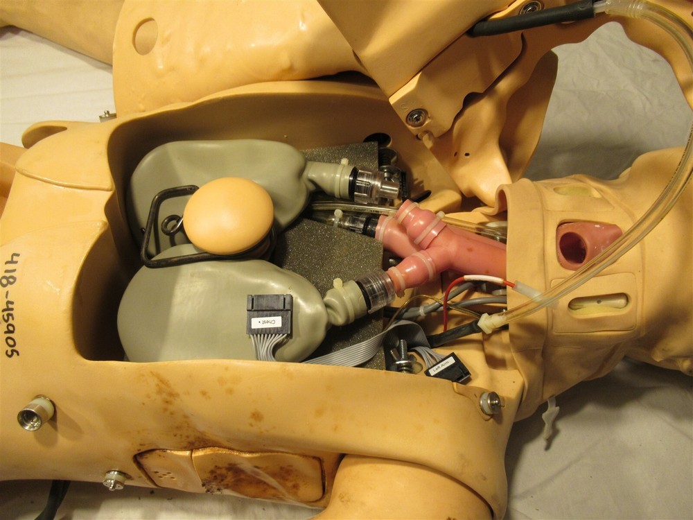 Laerdal 203-05050 Mega Code Kelly Basic Medical Training Manikin Trainer Nursing