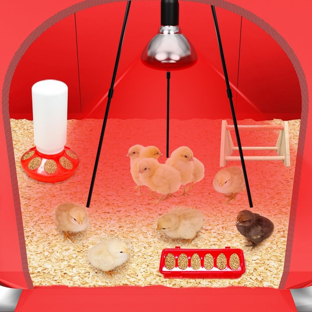 All-In-One Chicken Brooder Box for Chicks, Starter Kit with Timer Heat Lamp, Saw