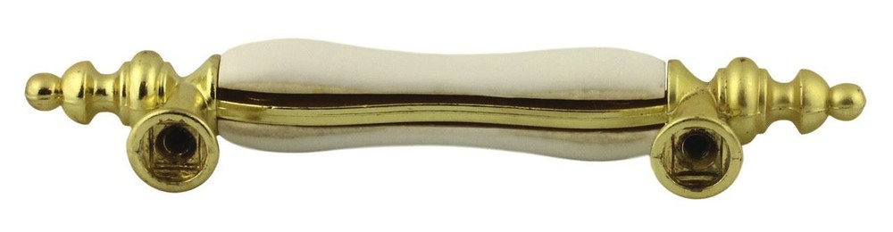 3" Floral Ceramic Center Pull Polished Brass