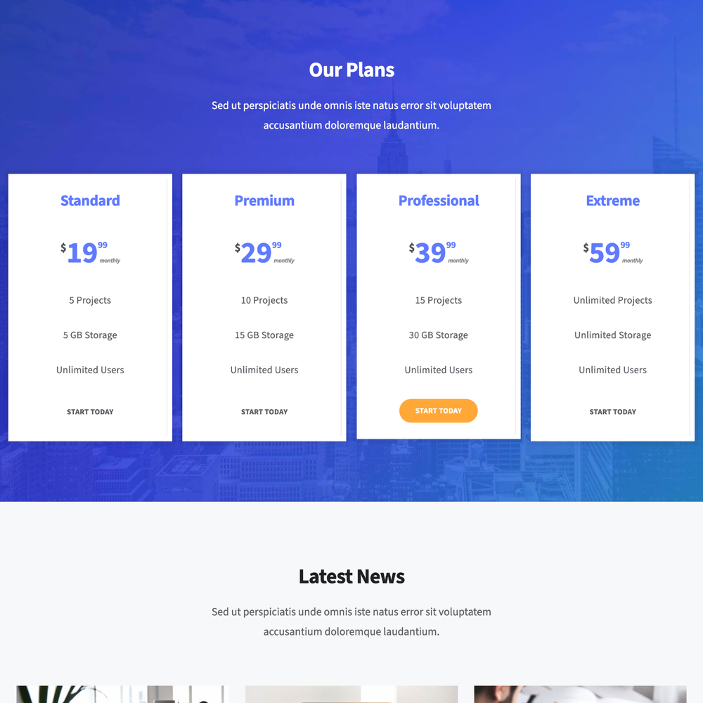 SEO Service Website Design with Free VPS Web Hosting and Installation