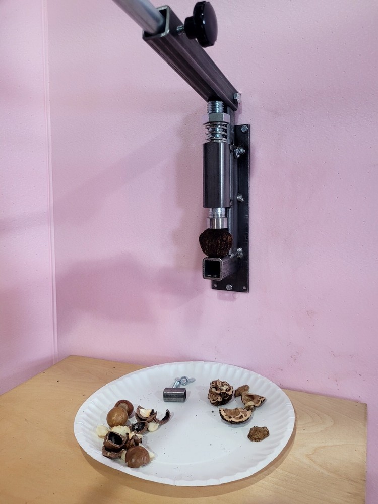 Black Walnut Nut Cracker - Unpainted