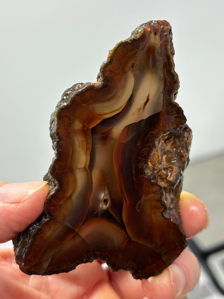Turkish Agate slab Cabbing Lapidary Collecting Combo Ship avail