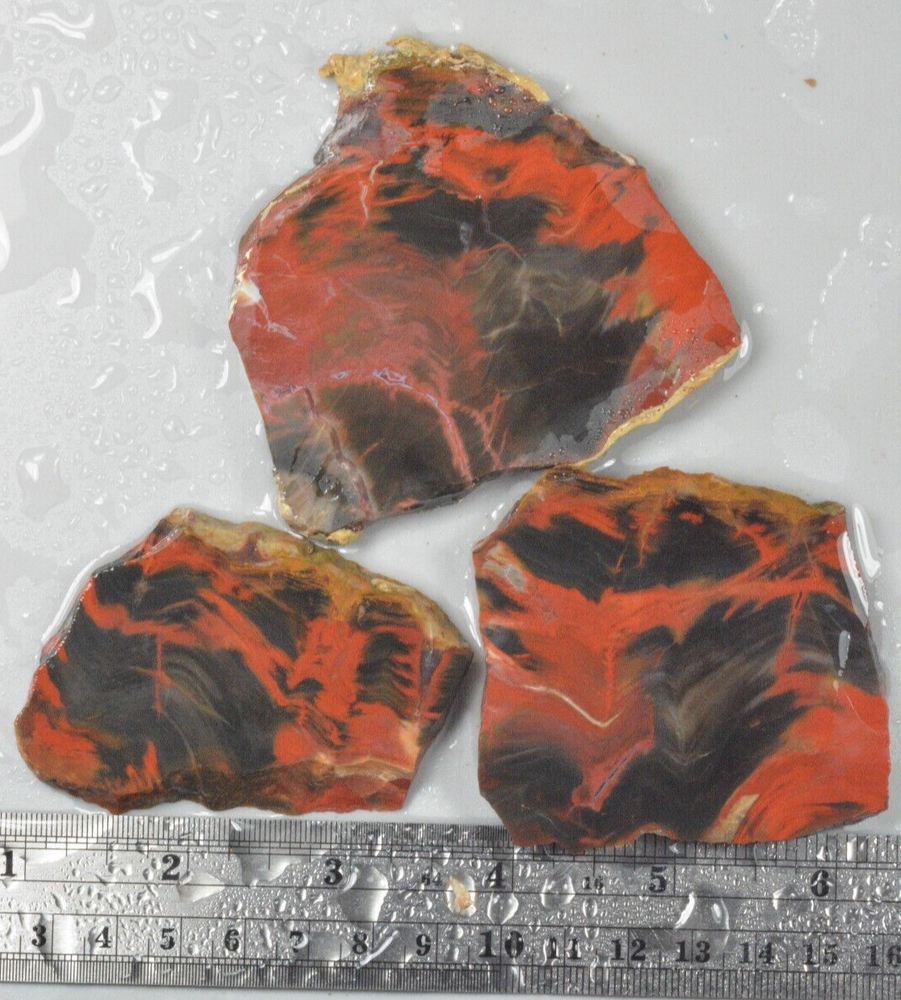 Petrified Wood, Circle Cliffs, Utah, 150 grams