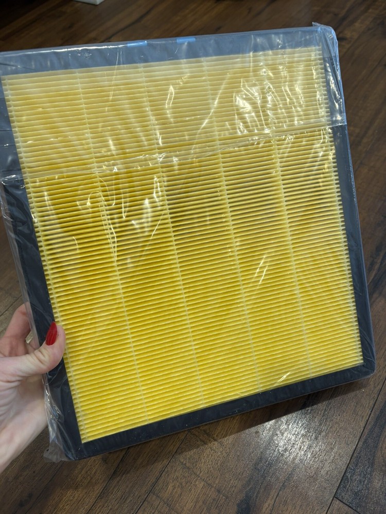 Vital 100s Smoke Remover Replacement Filter