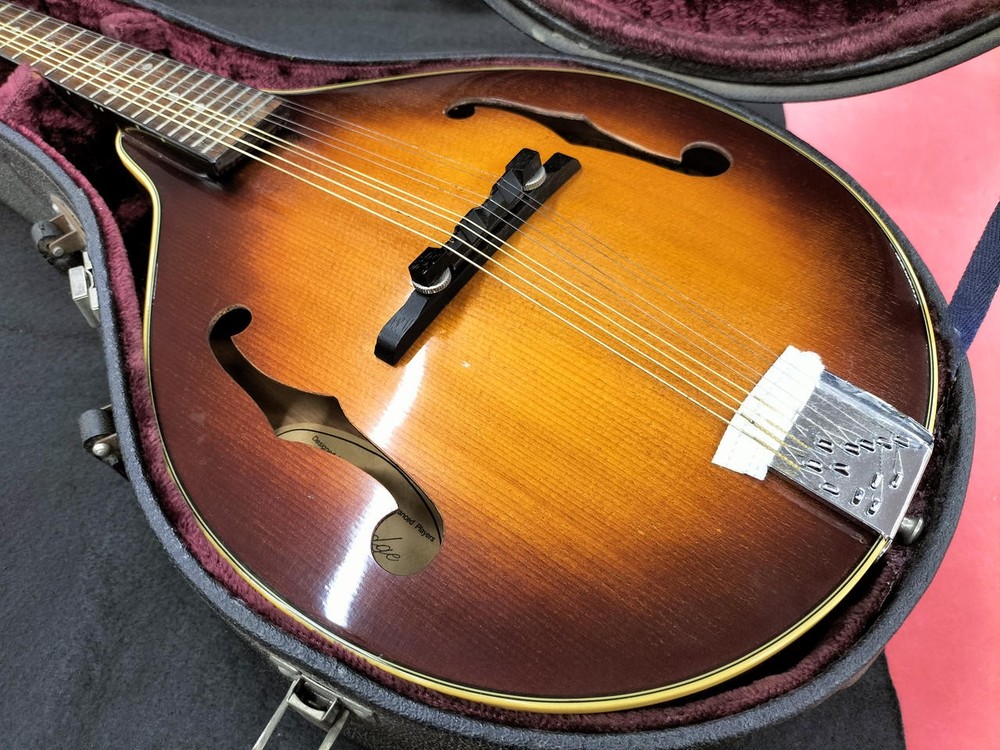 BLUERIDGE BM300F/TS Mandolin