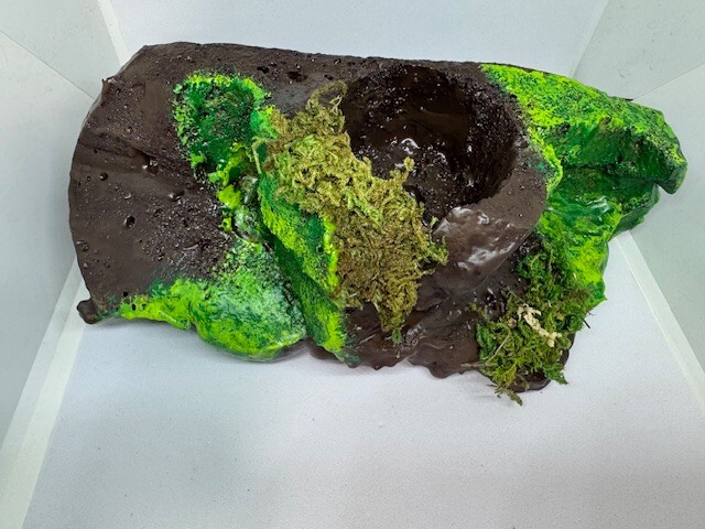 Medium Sub-tropical Magnetic Ledge With 5 Feeder Cups