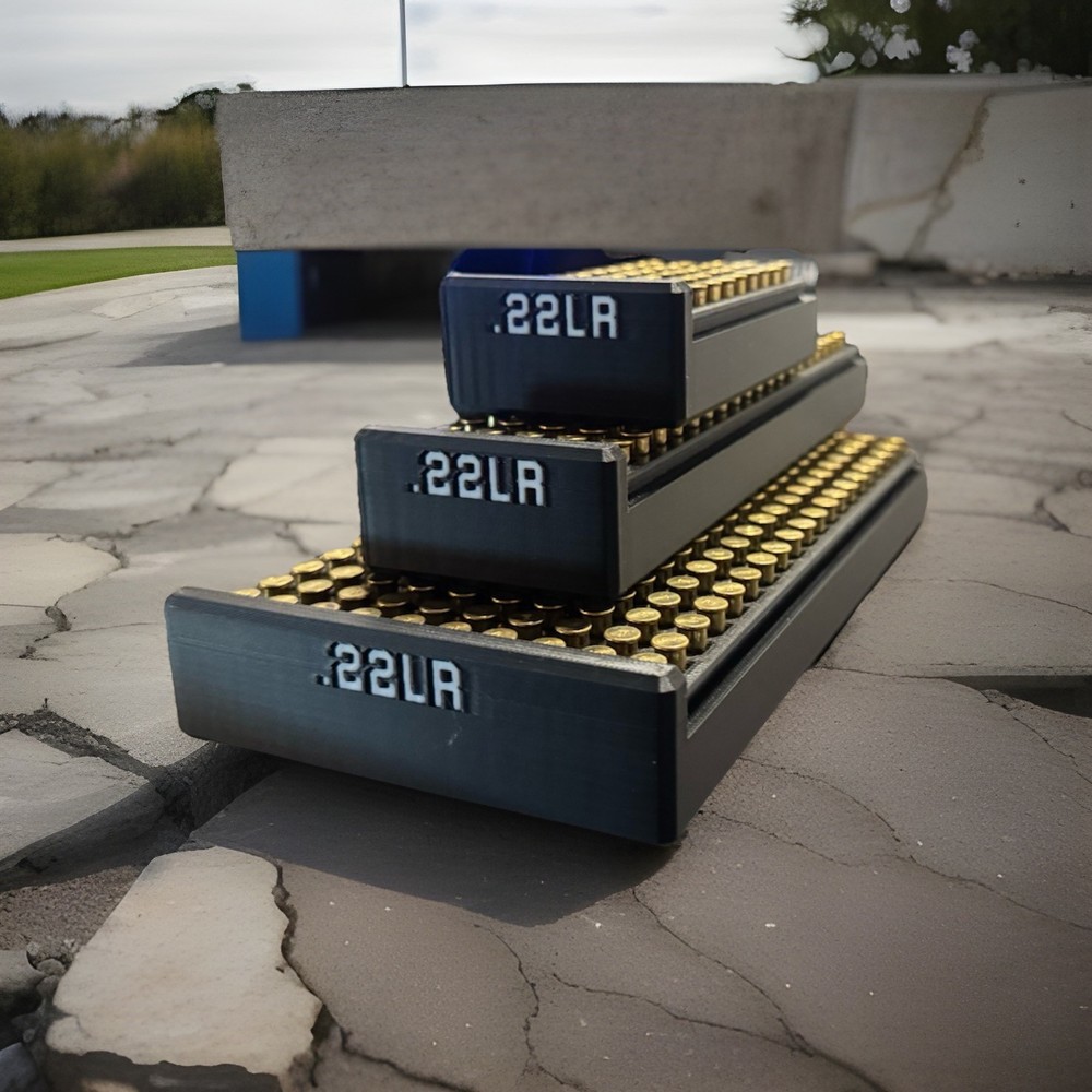 22LR Ammo Storage Box - Multiple Sizes & Colors