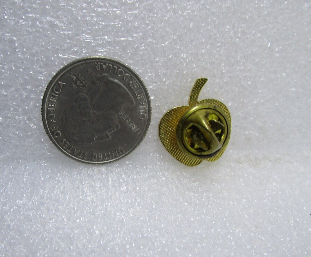 I Make A Difference Red Apple Pin
