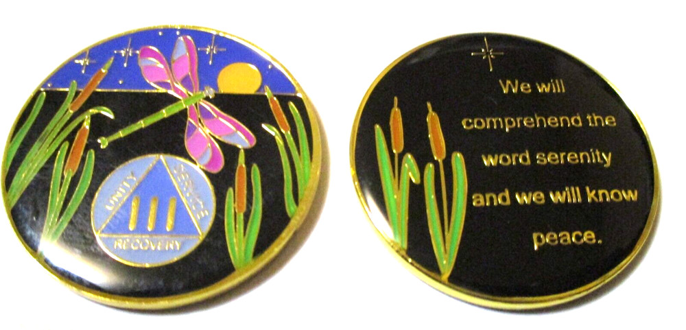 Coin 1 Year Anniversary Tri-plate 12 Step Programs Tree of Life