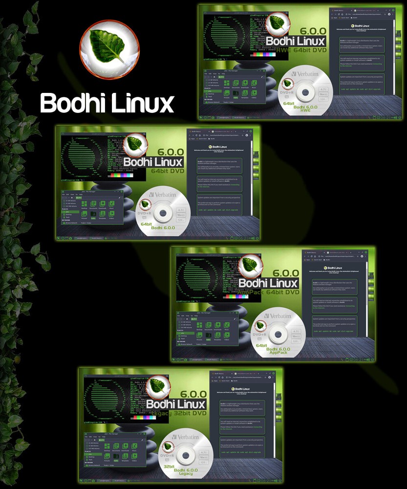 Bodhi LINUX INSTALL & LIVE DVD 32bit or 64bit DVD