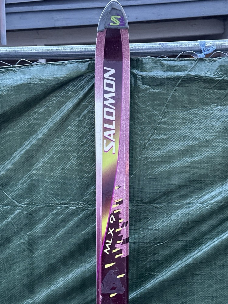 Salomon Monocoque 198 Cm Skies