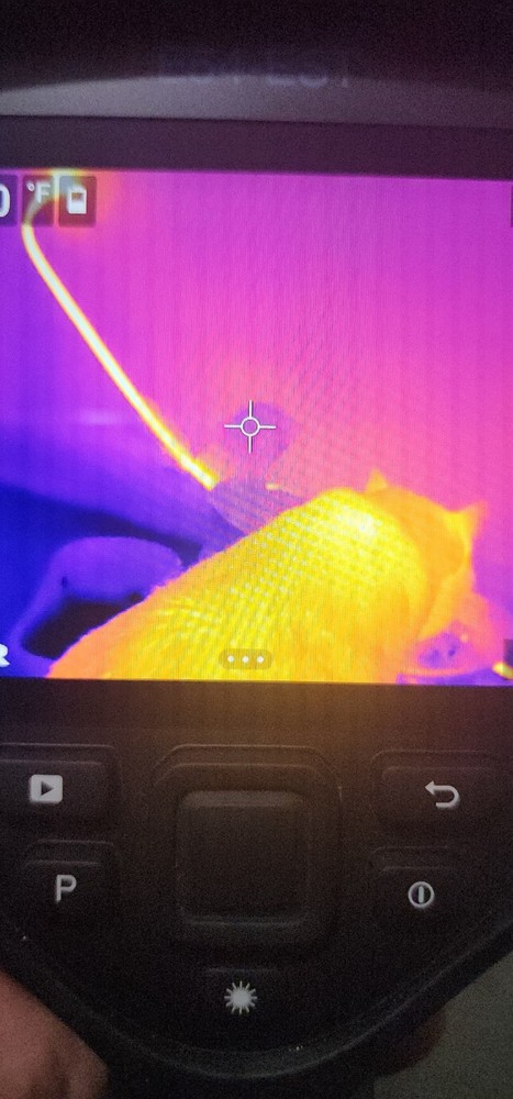 FLIR E54-EST Thermal Imaging Camera