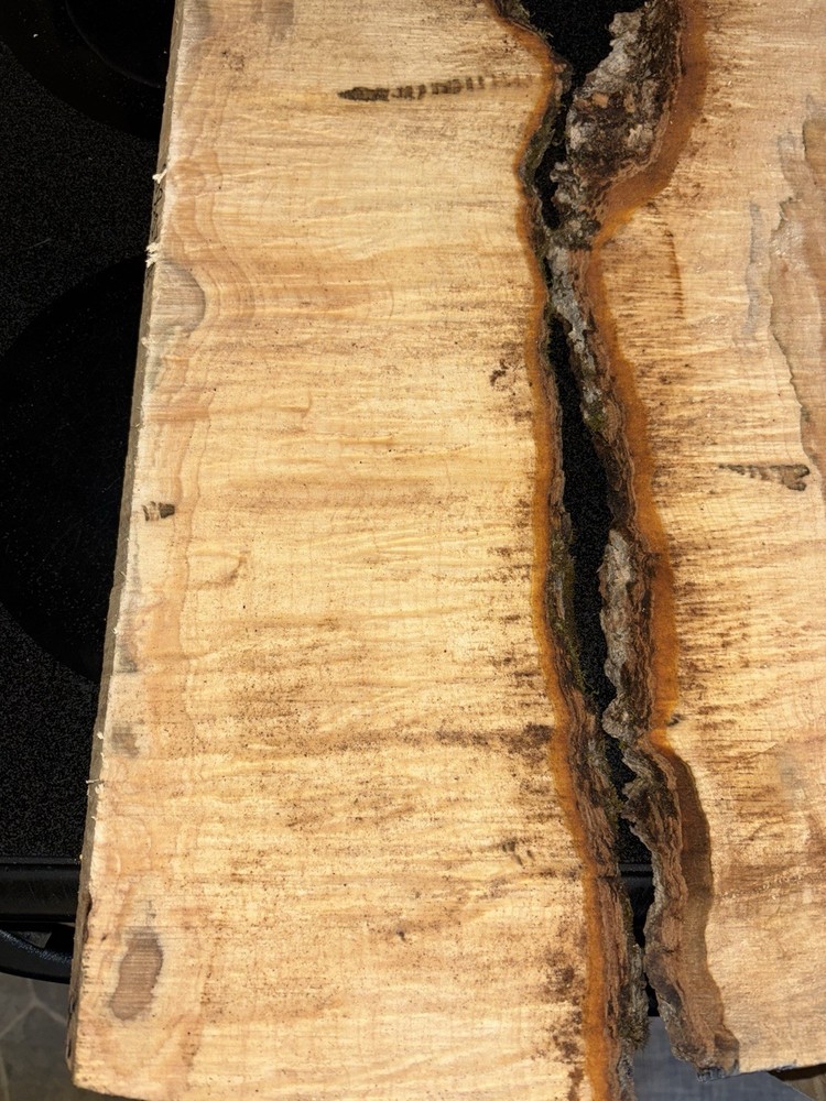Curly Maple Slabs - 2 Pc Craft Bundle #2085