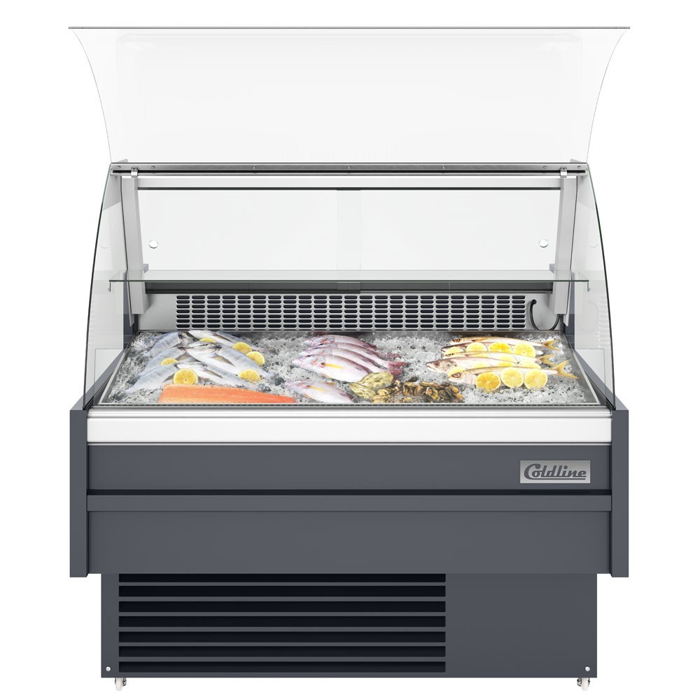 48" Curved glass fish case with refrigerated storage underneath