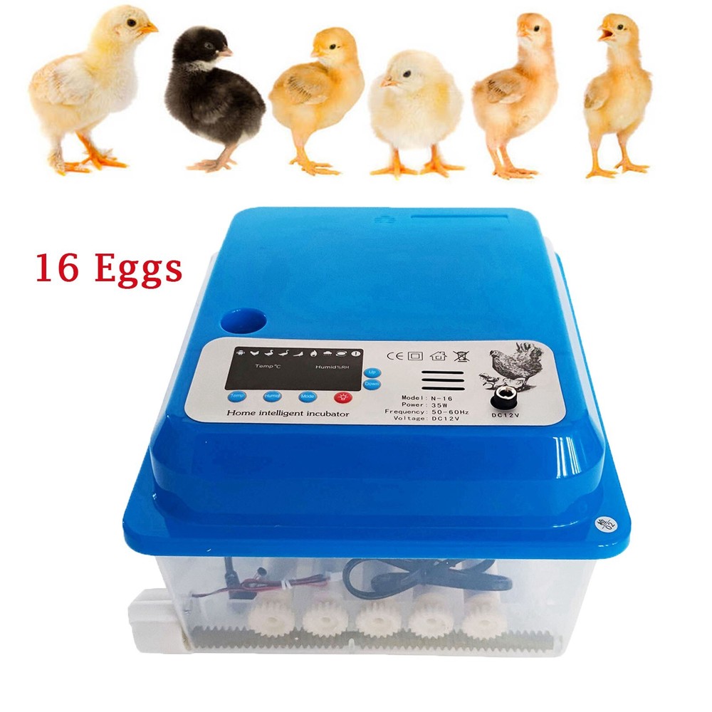 16 Egg Small Egg Incubator Automatic Digital Intelligence Quail Hatcher Breeder