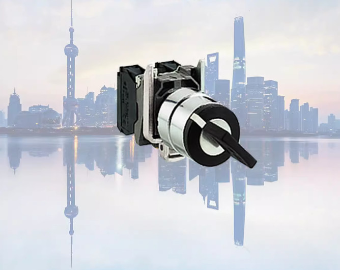 1PC NEW Schneider XB4BG03 Key switch .AA0