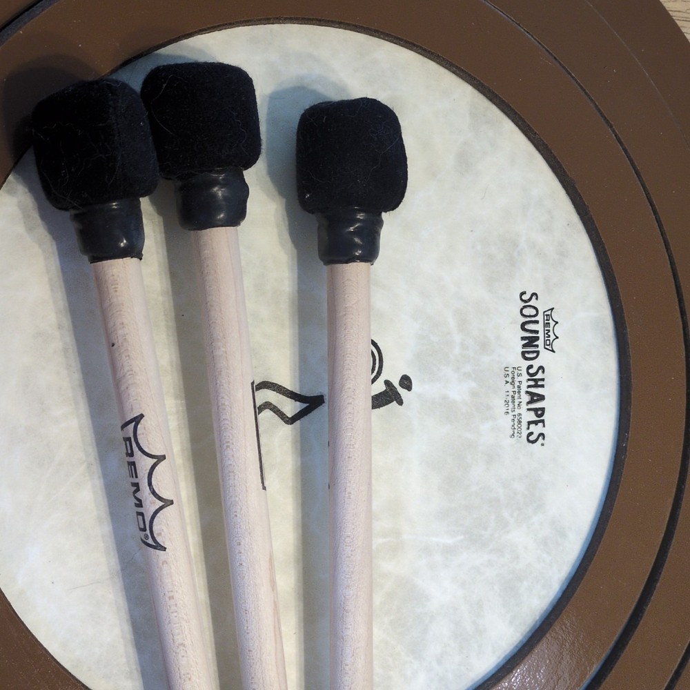 Remo Sound Shapes Frame Drum Set with Mallets and Learning Program