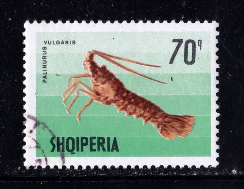 Albania               1174                used