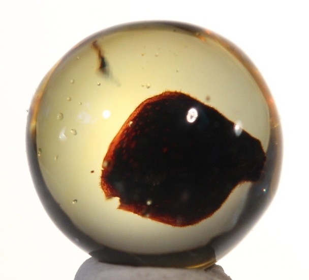 ++ PERFECT LEAF in Mexican Amber Sphere 11mmd