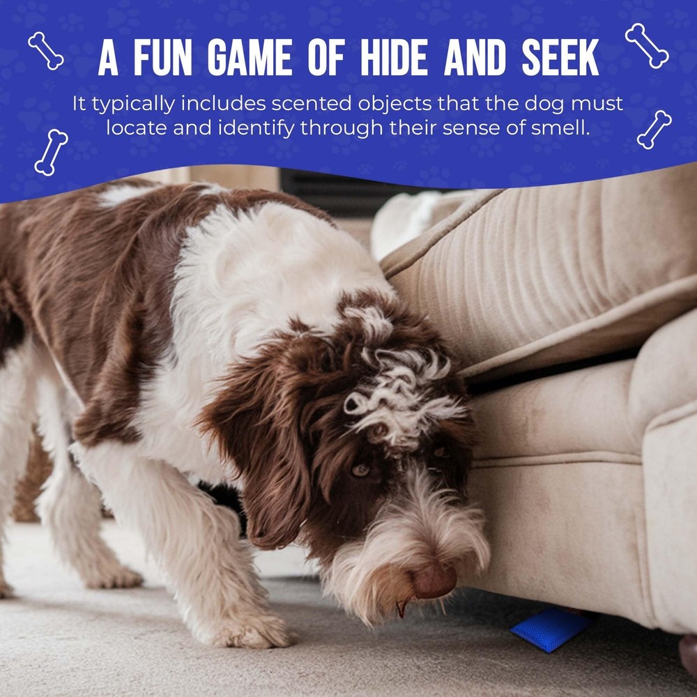 Interactive Dog Scent Training Kit Fun - Nose Work for Dogs, Hide and Orange