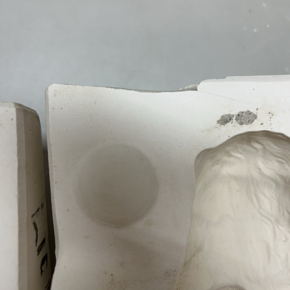 Ceramic Slip Casting Mold Lion Stein Lid H1655