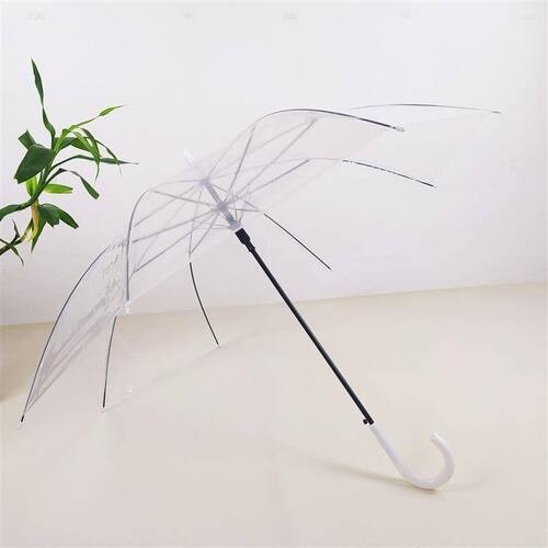 Clear Umbrella Transparent Dome Waterproof Windproof Long Handle Rain Umbrella