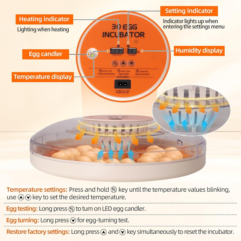 30 Egg Automatic Incubator with Thermometer, Humidity Control & Egg Candler