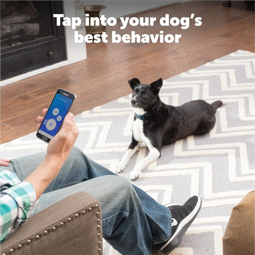 PetSafe SMART DOG Trainer Collar for 8lb Dogs
