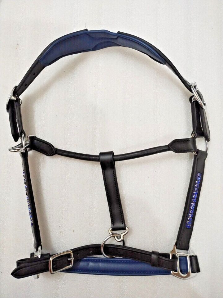 Blue Crystal & Padding Leather Halter With S.S. Fitting For Horse.
