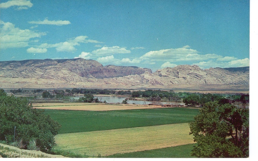 SPLIT MOUNTAIN GORGE, DINOSAUR NATIONAL MONUMENT, CO - PC3788