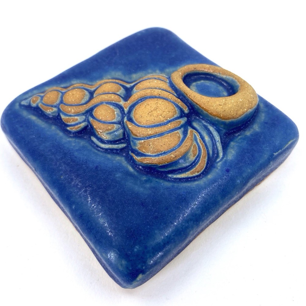 Precious Wentletrap Shell 3x3" Ceramic Art Tile by Gretchen Kramp
