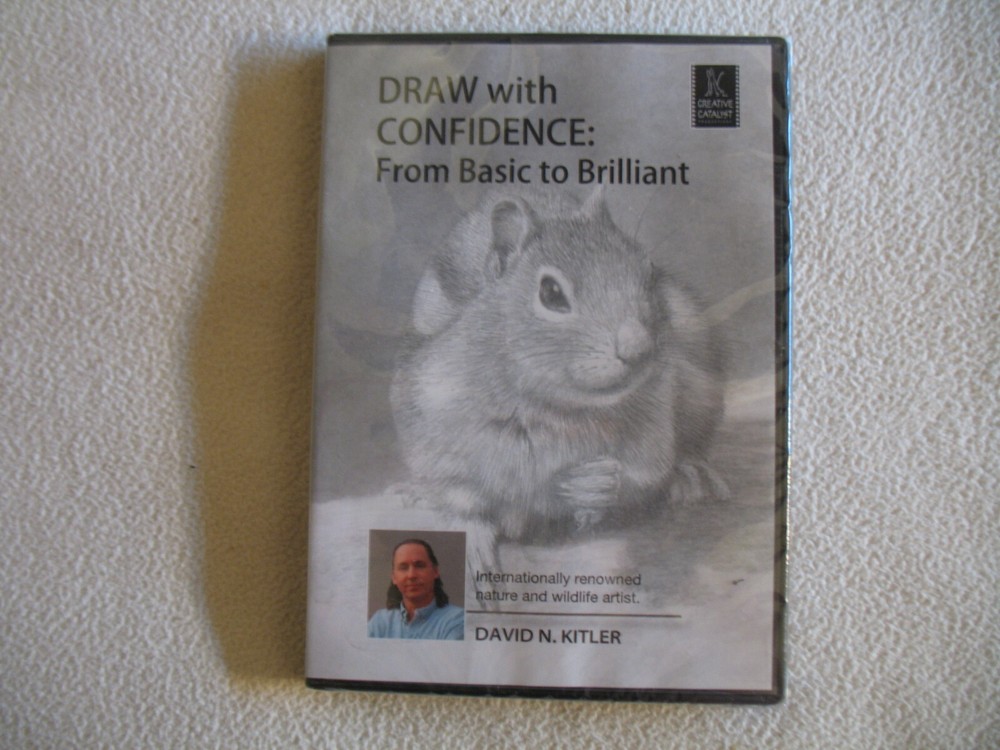 David N. Kitler Learn to Draw With Confidence NEW DVD From Basic To Brilliant