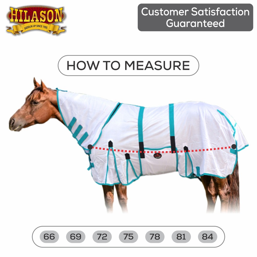HILASON Horse Fly Sheet UV Protect Breathable Mesh Bug Mosquito Spring | Summer