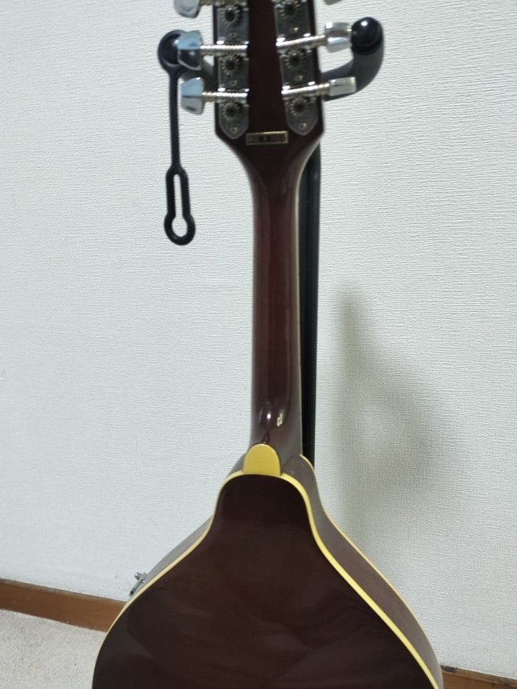 Samick Samick Mandolin sm20ts