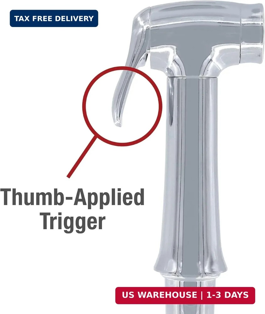 Danco 10330 Transitional Kitchen Sink Side Spray, Chrome