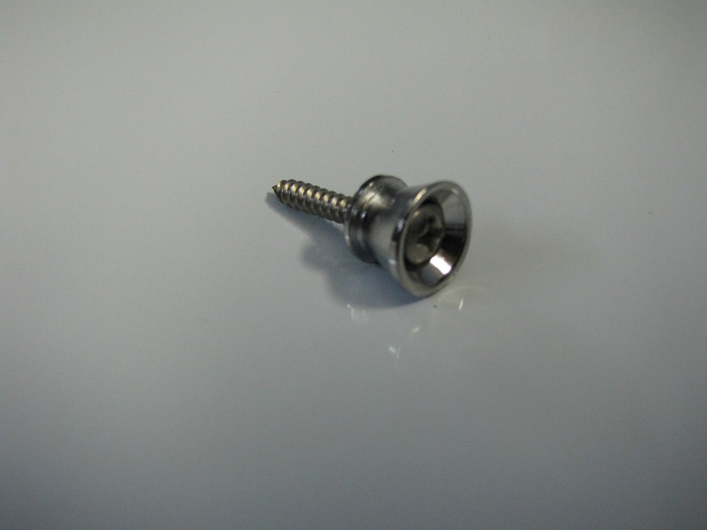 STRAP BUTTOM STAINLESS STEEL REPLACEMENT SCREWS (2)