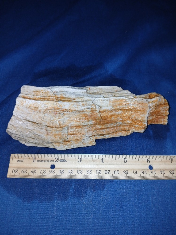 16 oz Texas Petrified Wood