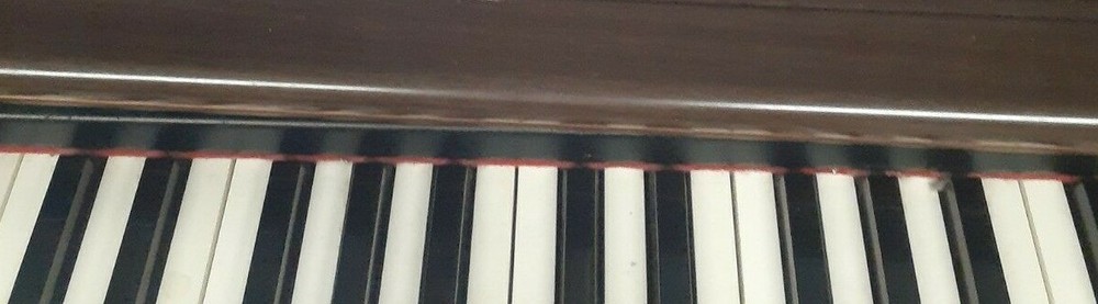 Technics Digital Piano Keys (and weights if desired) - SELLING INDIVIDUALLY !!!