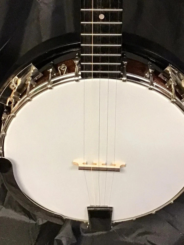 Savannah 5 String Banjo New Floor Model