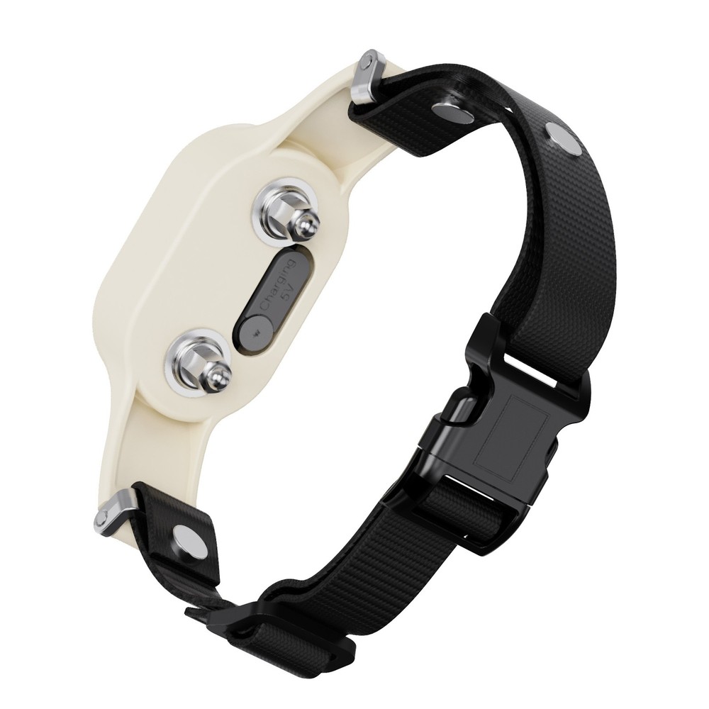 Dog Training Collar Remote Rechargeable Shock PET Waterproof Trainer