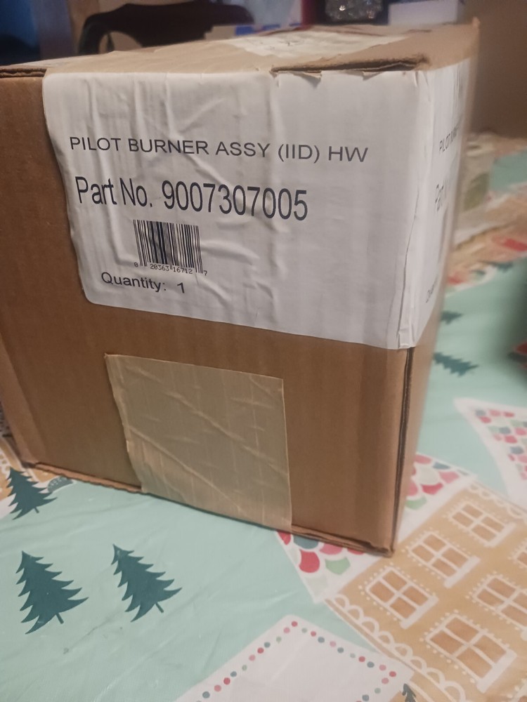 AO Smith 9007307005 Pilot Burner Assembly Kit